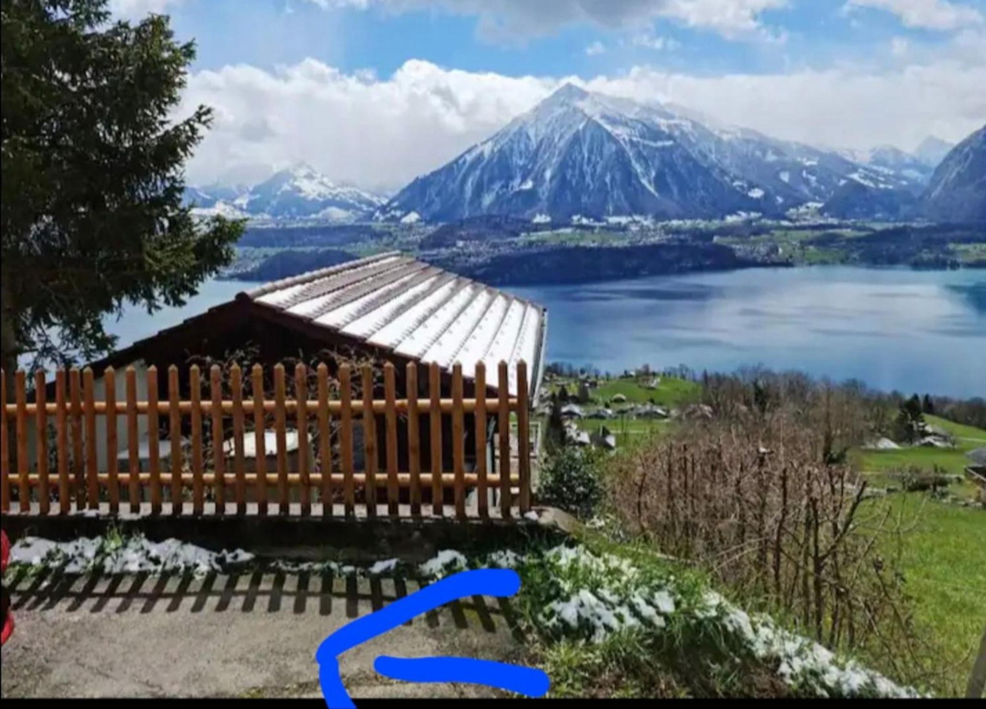 Chalet With View Of The Mountains And The Thun Lake 斯格里维尔 外观 照片